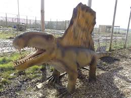 Image result for Dimetrodon