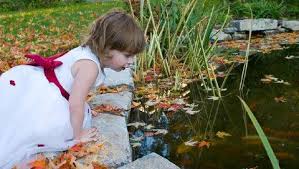 Ada 3 penyebab secara umum yang bisa mengakibatkan air kolam renang berlumut, misalnya: 4 Tips Agar Kolam Di Rumah Tak Bahayakan Anak Ortu Wajib Tahu Haibunda Line Today