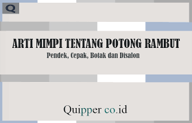 Mimpi rambut rontok menurut psikolog dan ramalan primbon untuk melihat pertanda baik atau buruk kehidupanmu kedepannya. 18 Arti Mimpi Tentang Potong Rambut Pendek Cepak Botak Dan Disalon