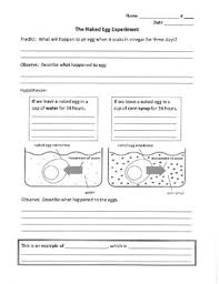 Tonicity is a measure of the difference in concentrations (osmotic pressure gradient) of two solutions separated by a semipermeable membrane. Egg Osmosis Experiment Worksheets Teaching Resources Tpt