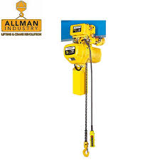 China 1 Ton Electric Crane Hoist Suppliers And Manufacturers Cheap Price 1 Ton Electric Crane Hoist Allman
