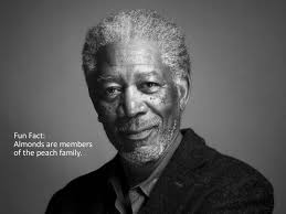Black And White Pictures Of Celebrities Faces 20 Fun Facts Next To Celebrities Faces For Absolutely No Reason At All Celebrity Faces Morgan Freeman Celebrity Portraits