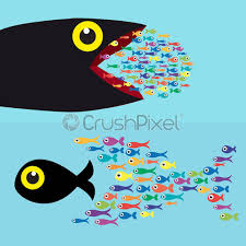 If one's wife is pregnant and he sees a fish coming out of his male organ in a dream, it means that his wife will beget a son. Big Fish Eat Small Fish Metaphor Of The Fittest Which Stock Vector Crushpixel