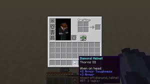 Please to search on seekpng.com. Thorns Applies To Armor Pieces In Your Hands And It Doesn T Consume Durability Minecraft