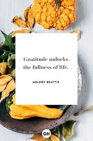 It turns denial into acceptance, chaos to order, . Gratitude Unlocks The Fullness Of Life Stj On The Move