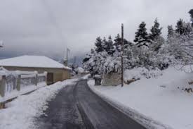 Προστασία επιχειρήσεων πληγέντων κορωνοϊού αίτηση υπαγωγής στη διαδικασία συνεισφοράς δημοσίου στην αποπληρωμή επιχειρηματικών δανείων. Epi Podos H Politikh Prostasia Boreias Kynoyrias Gia To Kyma Xionia Arcadia Portal