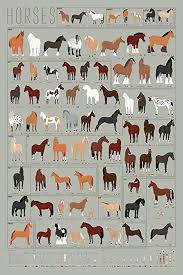 Pop Chart Lab Horses A Chart Of Notable Breeds Amazon Co