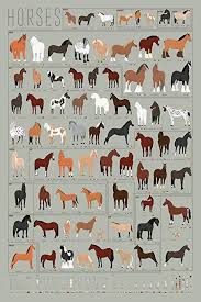 Pop Chart Lab Horses A Chart Of Notable Breeds Amazon Co