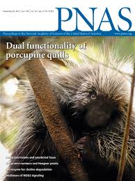 We did not find results for: Acknowledgment Of Reviewers 2012 Pnas