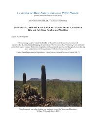 All cacti are succulents, but not all succulents are cacti. Le Jardin De Mere Nature Dans Une Petite Planete Pima County