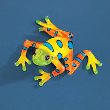 Image result for glass frog