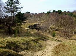 Image captionthe dispersal zone on formby beach will be in place until wednesday 2 june, police a police dispersal zone has been put in place on a beach and nearby area after a teenager and two. Formby Beach Woods And Coast Walk Route