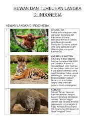 Jadi apabila kamu memerlukan bagaimana tata cara menggambar dan mewarnai hewan dan tumbuhan, kamu bisa membaca penjelasan dalam artikel mamikos kali ini sampai selesai. Hewan Dan Tumbuhan Langka Di Indonesia 1