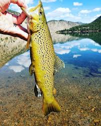 Fishing Colorado Clear Creek County