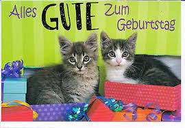 Alles gute zum geburtstag katzen. Klappkarte Zwei Kleine Katzen Geschenke Und Alles Gute Zum Geburtstag Ebay
