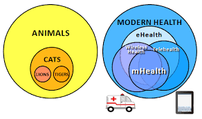 The terms ehealth, mhealth, telemedicine and telehealth are used to describe a broad concept within healthcare, the use of mobile and . What Is Mhealth Is It Mobile Health Or Modern Health