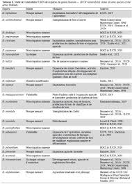 Image result for Dialium holtzii