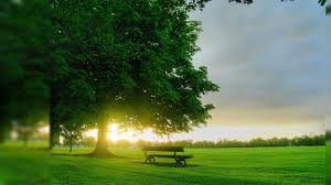 Feel free to use all of these nature images for commercial use. Android Nature Wallpapers Group 45