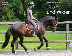 #sidepull | 80.4k people have watched this. Gebisslose Zaumung Das Fur Und Wider 4my Horse