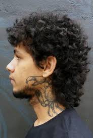 Pin By Aubrey Stacy On Mullet Mullet Hairstyle Wavy Hair Men Mullet Haircut Styling a curly mullet for men is much easier than people might think. mullet hairstyle