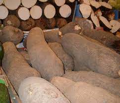 Mahoaa ufi is a yam variety of the dioscorea alata l. Yam Vegetable Wikipedia