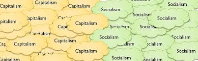 Difference Between Capitalism And Socialism With Comparison