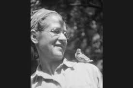 THE REAL DIRT ON: Ynés Mexía: A Short (but Impressive!) Career in Botany