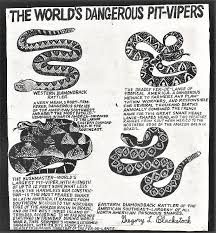 Pin By Debrah Gai Lewis On Artist Gregory Blackstock In 2020 Pit Viper Very Meaning No Response