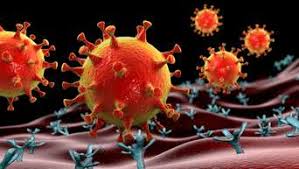 Las campañas de vacunación contra el coronavirus, también la española, tratan de inmunizar al mayor porcentaje de población mientras las variantes de la enfermedad siguen esparciéndose a. Lambda Variante Das Ist Uber Die Neue Corona Mutation Bekannt Deutschland