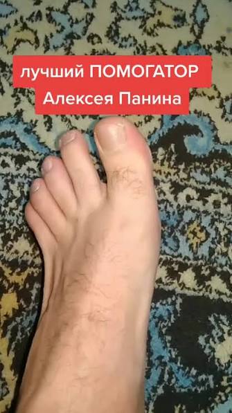 Алексей Панин И Нога Бригада | TikTok