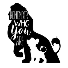 Circle of life / nants' ingonyama. Pin On Lovely Items You Bought Again