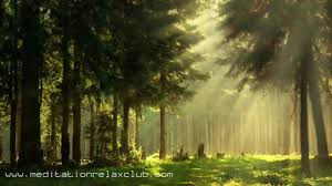 Noise Cancelling Sound Masking White Noise Nature Sounds Background Ambient Music Youtube