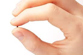 The bigger the obstacle the more strength i'd need to climb it. What Is Faith Like A Mustard Seed Deshen Daily Devotional