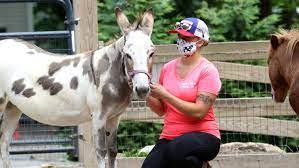 The indoor petting zoo can also be set up in a garage or under a covered area. Nj Teens Charged In Last Month S Abma S Farm Break In In Wyckoff