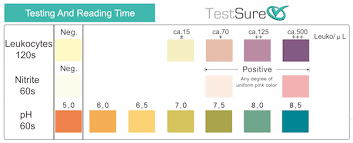 Uti Test Strip Color Chart Best Picture Of Chart Anyimage Org