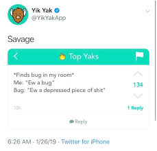 Building an app/website similar to yik yak. Still Posting To Their Twitter In 2019 Coming Back Yikyak