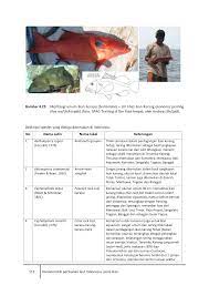 Di luar laguna dan di terumbu karang; 4 Alat Tangkap Dan Ikan