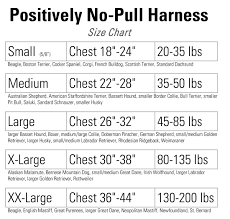 punctual mastiff size chart dane puppy growth chart english