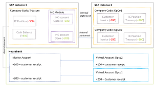 The ihc group is an organization of insurance. Managing Virtual Accounts Using Sap In House Cash Zanders Treasury Finance Solutions