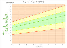 Adult Height To Weight Chart Height To Weight Ratio Chart