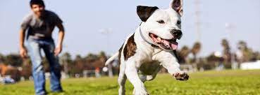 We are also available to assist residents, rescuers, and adopters throughout these midwest states: Cedar Bend Humane Society Waterloo Iowa