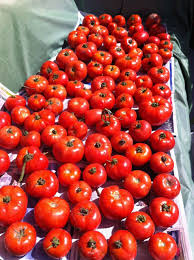 Sauce Tomates Fait Maison Pour Pizza Pates Viandes Sauce Tomate Tomates Sauce Tomate Faite Maison