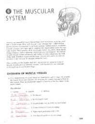 What are the three abnormal colors used to describe the skin, and what might be the cause of each type? Worksheet Integumentary System With Answer Key Docsity