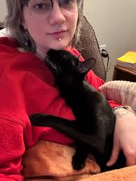 So my sunroof won't fully close