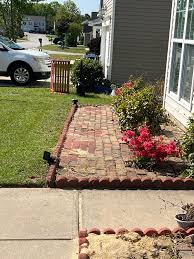 Image result for Syncolostemon elliottii