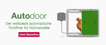 Das bedeutet, dass man beim öffnen aber hühner sind wunderbare gartenhelfer. Fur Wieviele Jahren Legen Huhner Eier Eier Huhner Guide