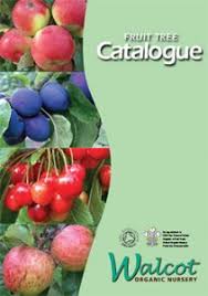 We did not find results for: How To Order Walcot Organic Nursery