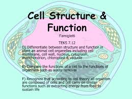 Maybe you would like to learn more about one of these? Cell Structure Function