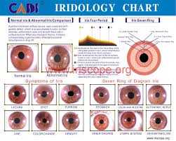 iridology eye colour chart iriscope iridology camera