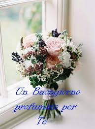 Immagini di mazzi di fiori per compleanno nd13263.blogspot. Http Ift Tt 2xx2our Frasi Di Buongiorno Sms Di Buongiorno Messaggi Di Buongiorno Buongiorno Per Te Bongi Bouquet Matrimonio Bouquet Da Sposa Bouquet Di Nozze